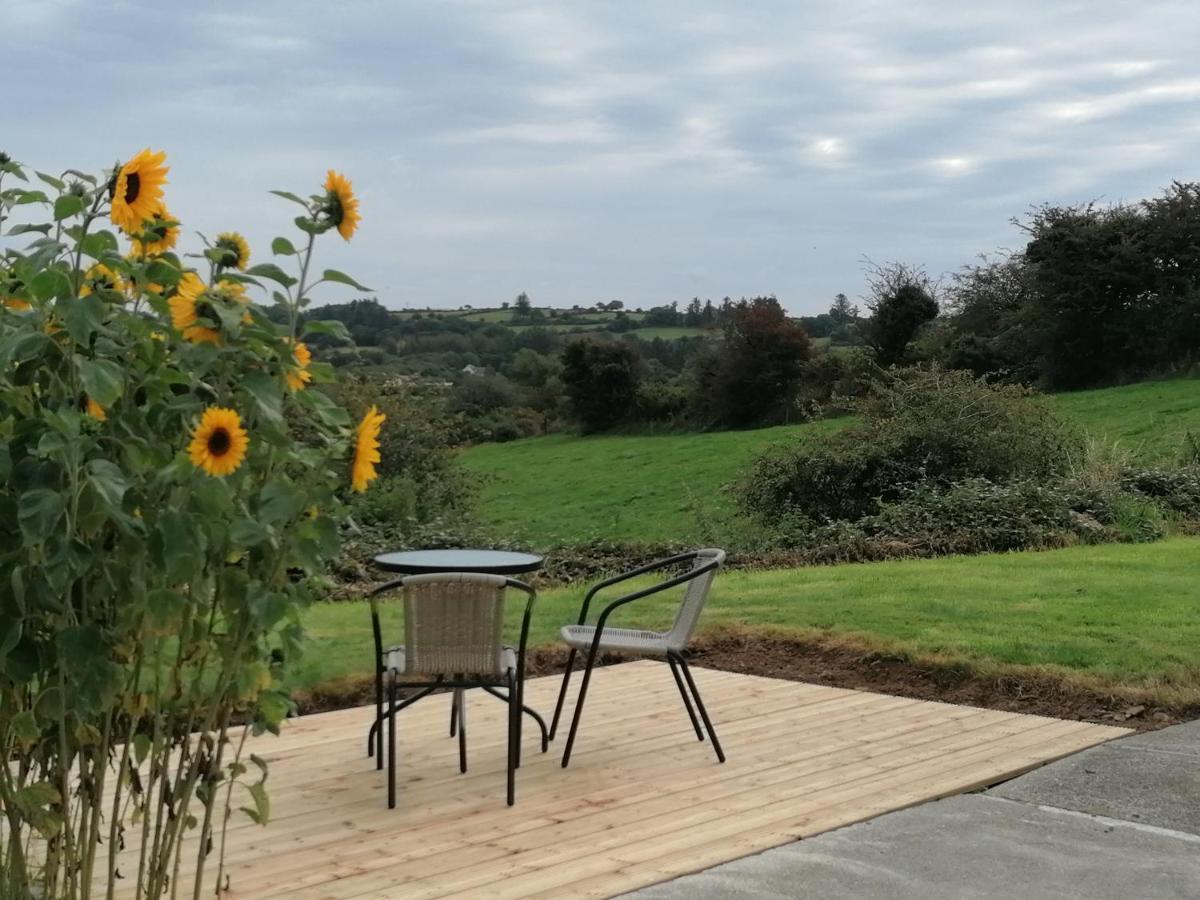 Radharc Na Greine Apartment Cork Exterior foto